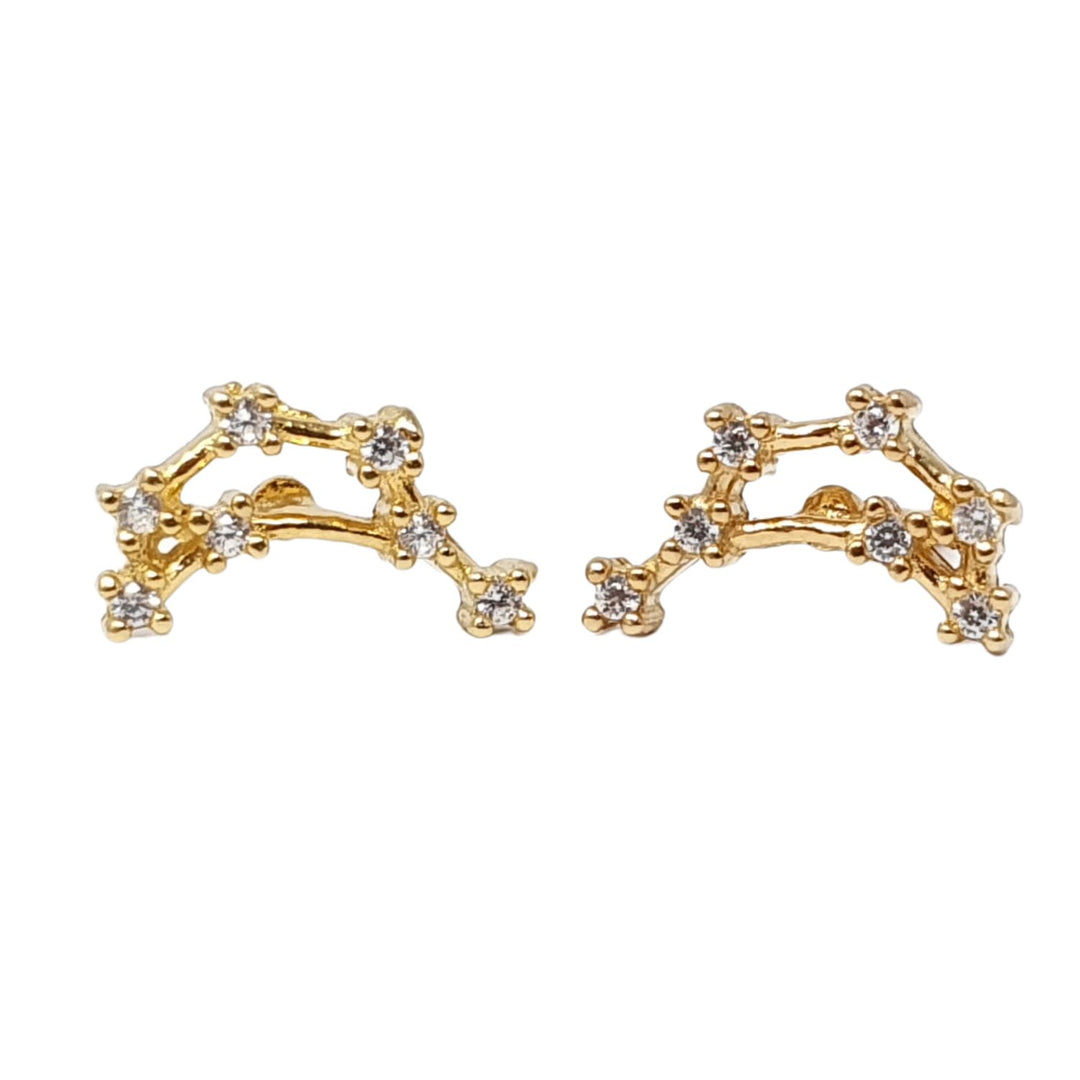 Capricorn Star Sign Constellation Astrology Zodiac Earrings