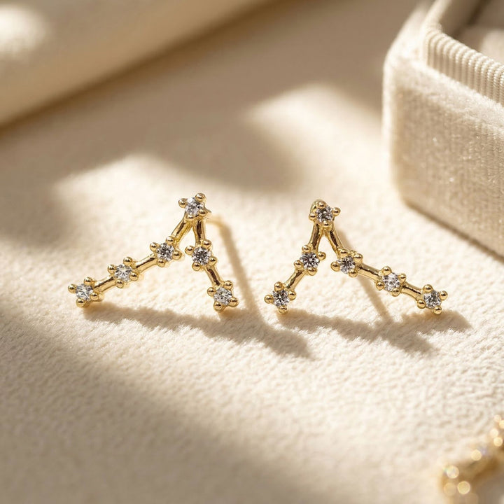 Pisces Star Sign Constellation Astrology Tiny ZodiacEarrings